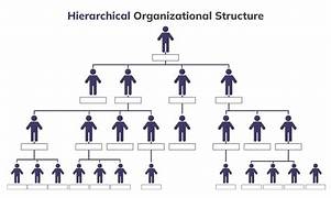 organizational hierarchy