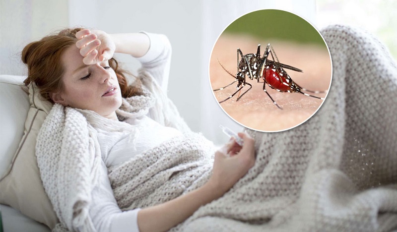catch malaria