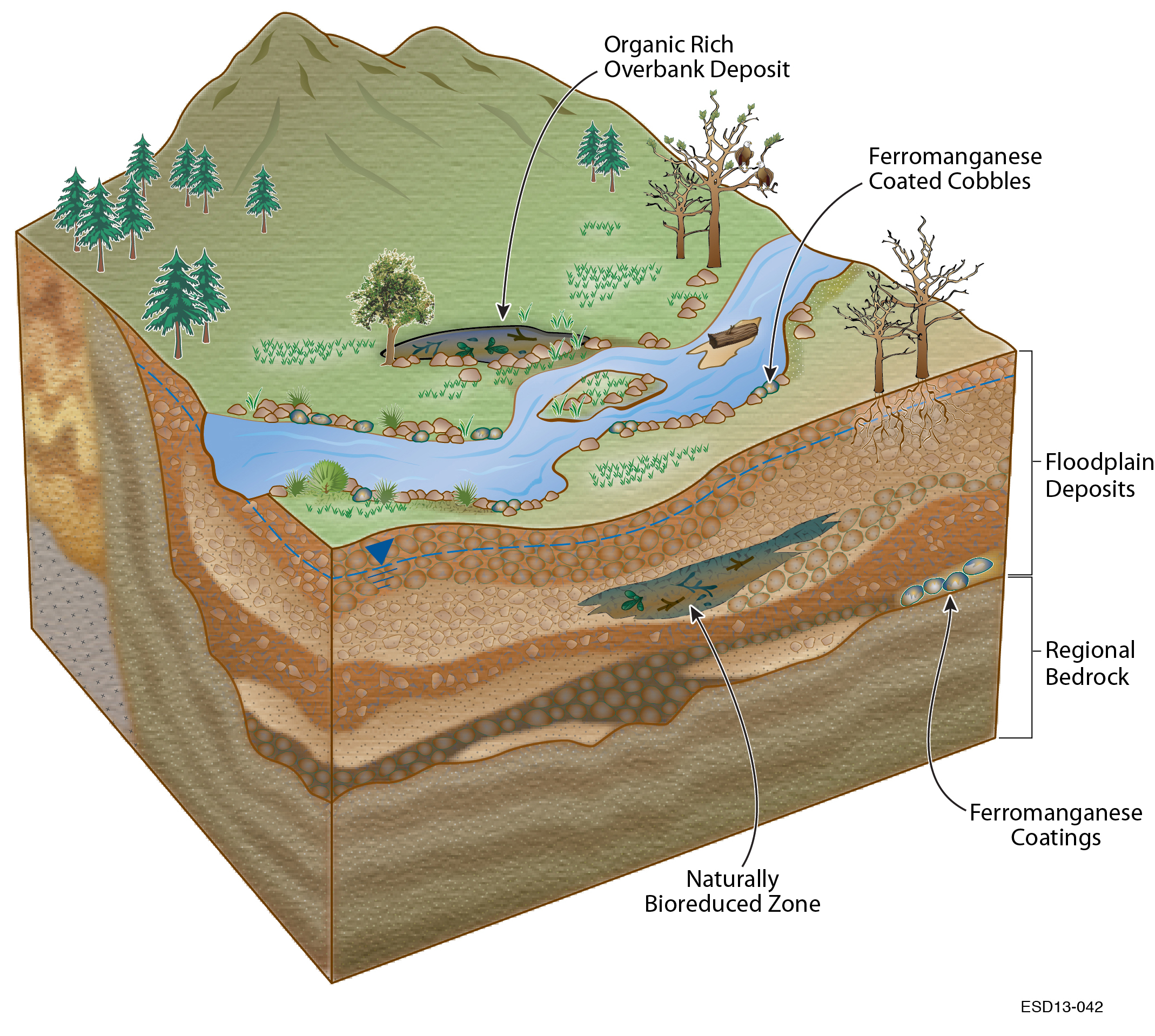 subsurface