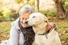 companion animal