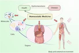 homeostatic