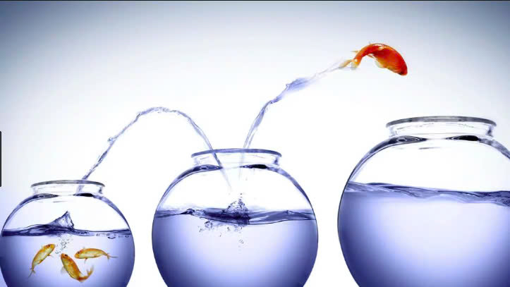 transition… from…