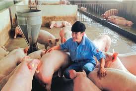 animal welfare