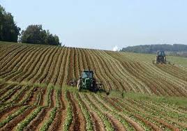 intensive farming method