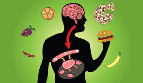 metabolic