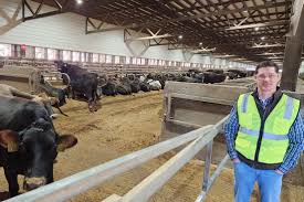 dairy farming