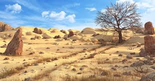 desert terrain