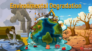 environmental degradation