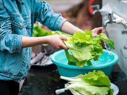 foodborne