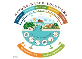 nature-based