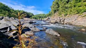 upriver