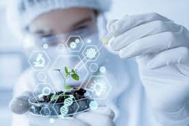biomedical