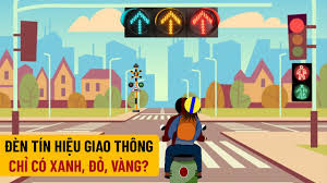 obey traffic signals