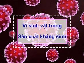 antimicrobial
