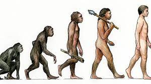 evolution