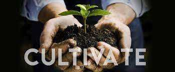 Cultivate