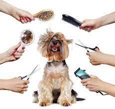 Grooming