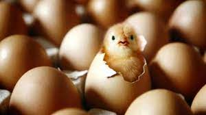 emerge