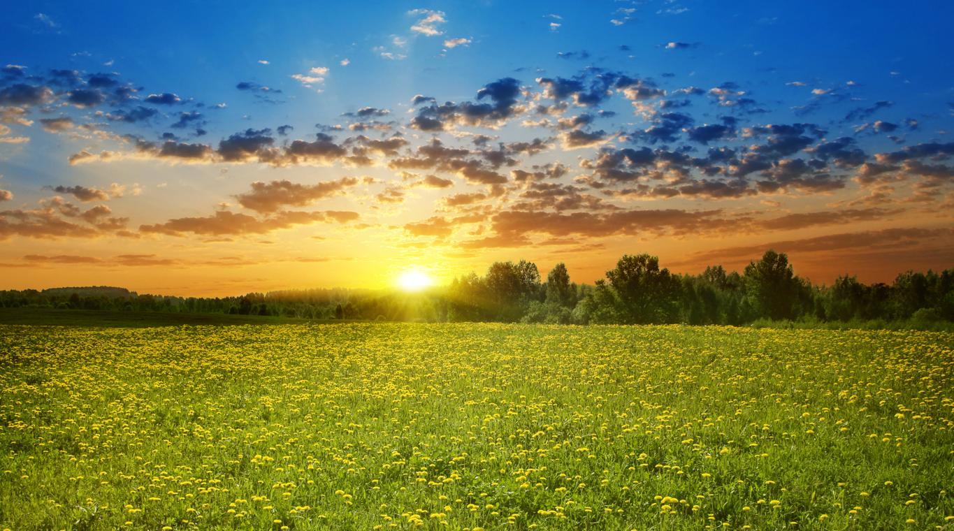 abundant
