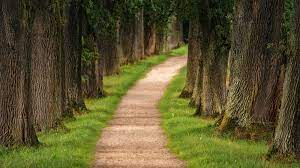 Pathway