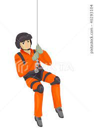 Harness