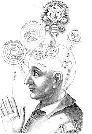 Consciousness