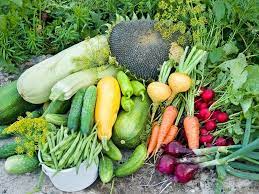 Bountiful