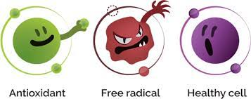 antioxidant