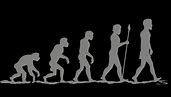 evolve from