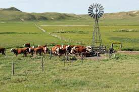 Ranching