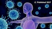 immune system