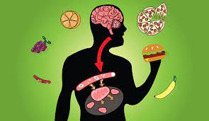 Metabolic