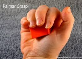 Grasp