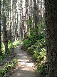 trail