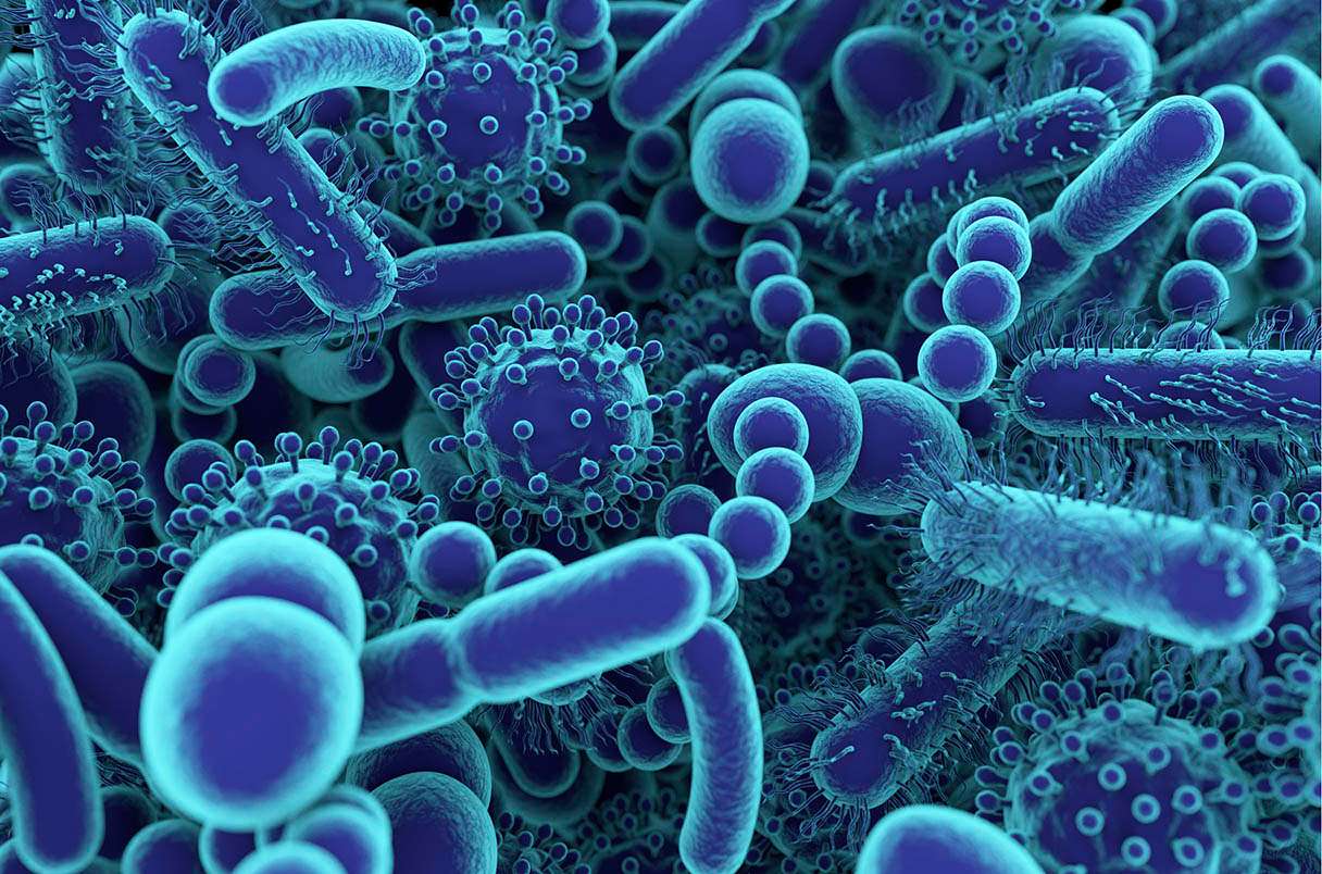 Microbe