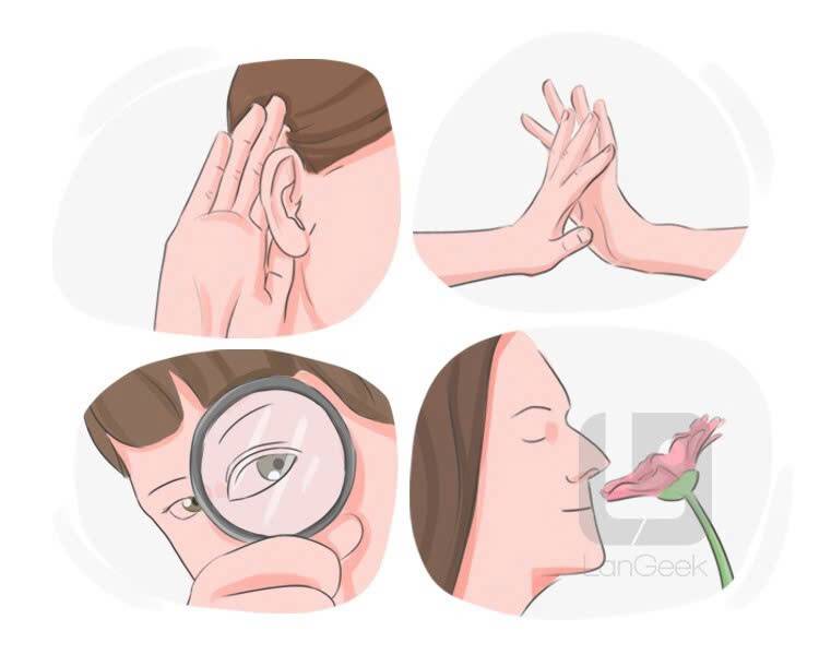 sensation