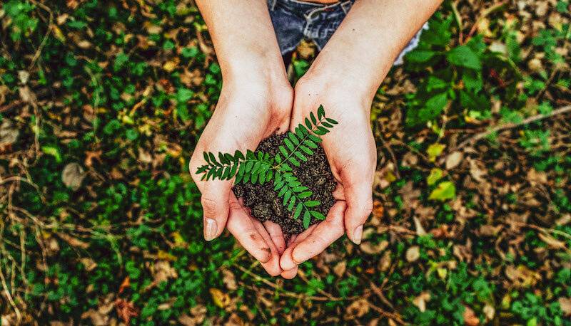 Eco-conscious