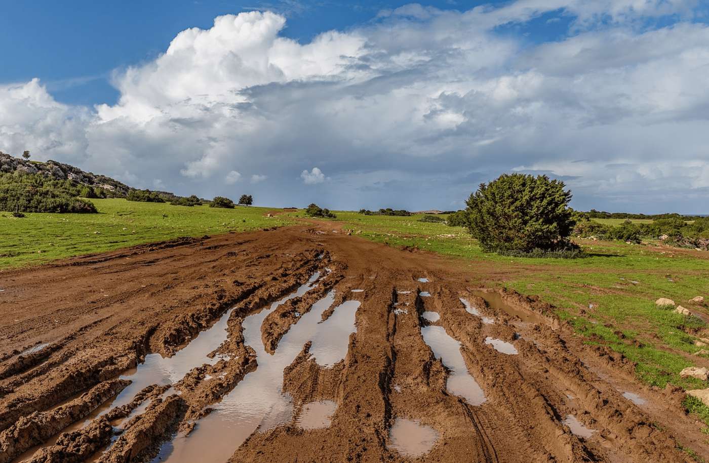 muddy