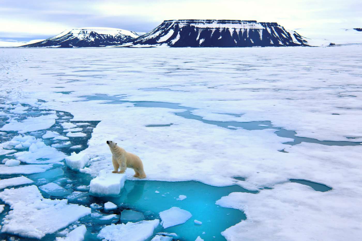 Melting ice cap