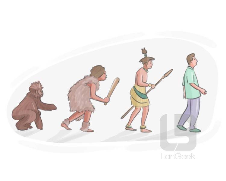 evolve into sth