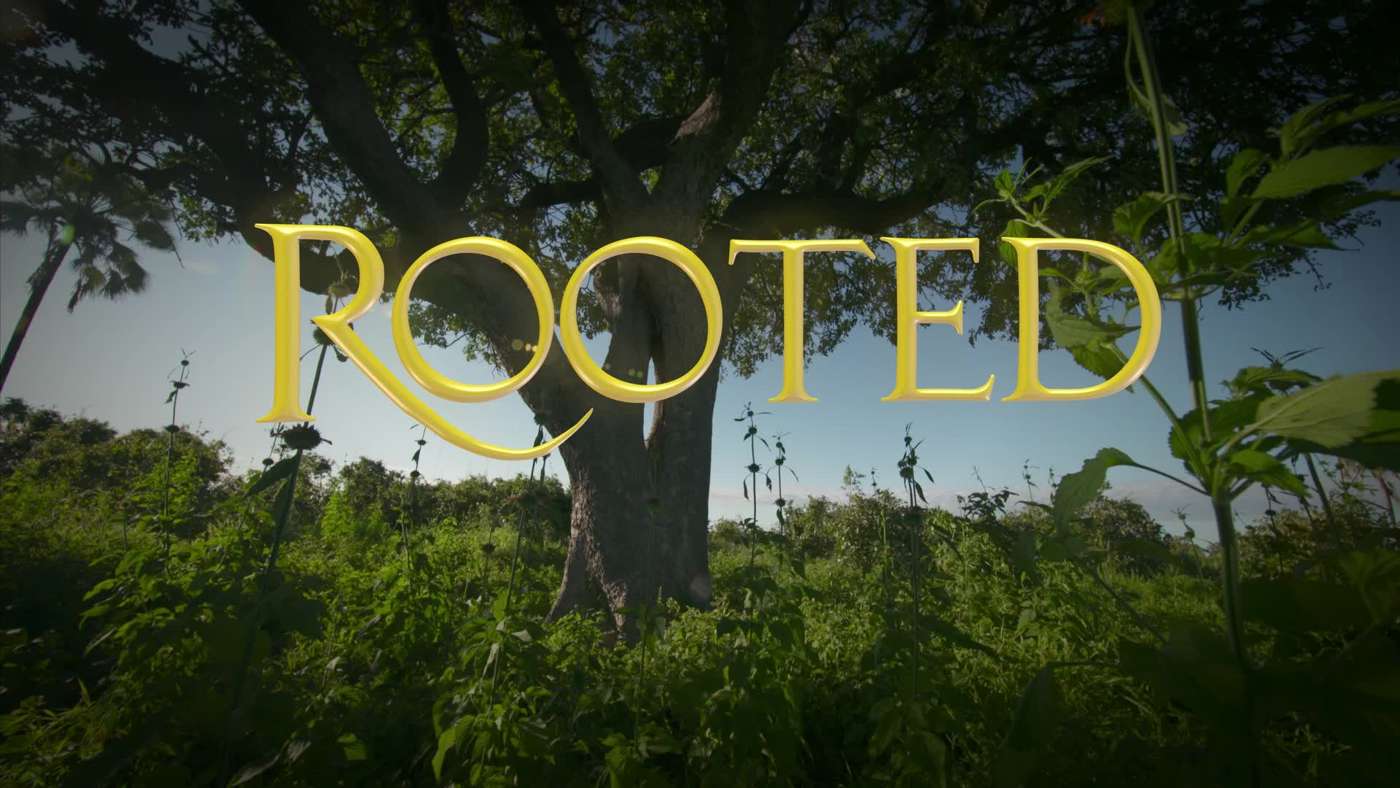 rooted