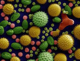 microscopic