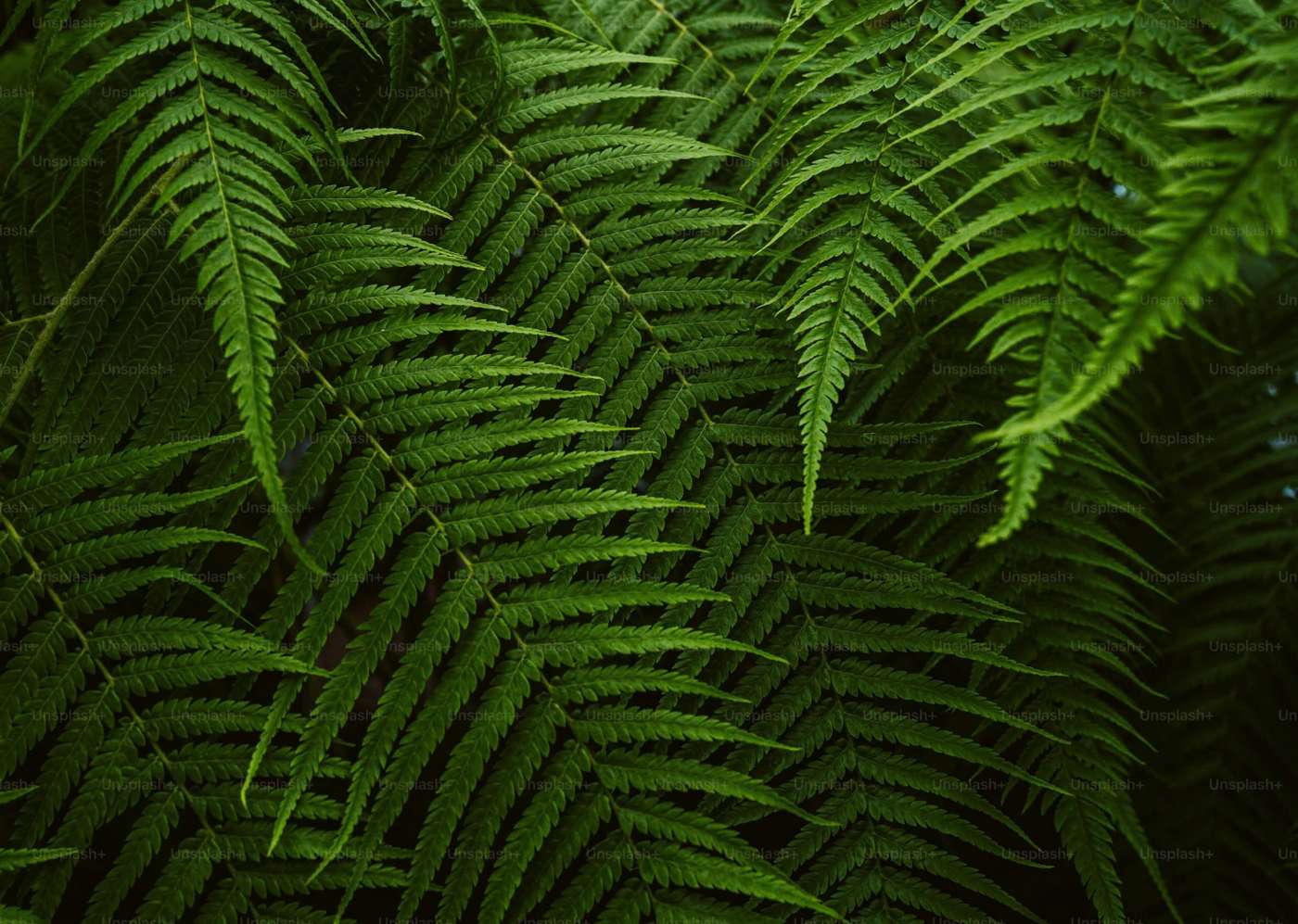 greenery