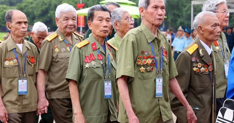 veteran
