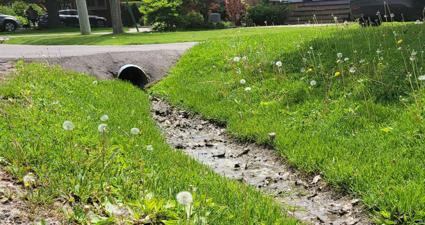 ditch