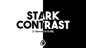 In stark contrast