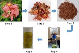 be extracted from sth