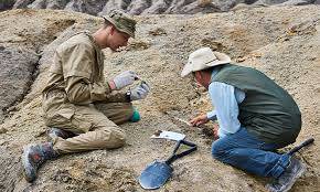 archaeologist