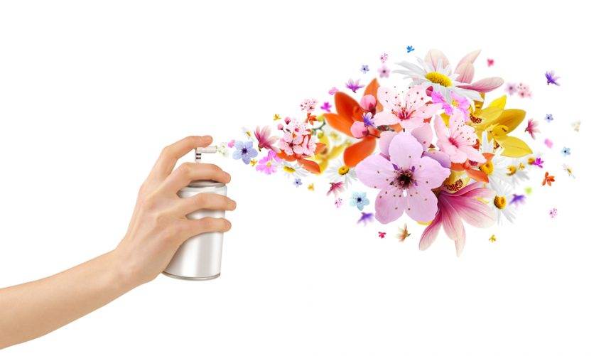 scent