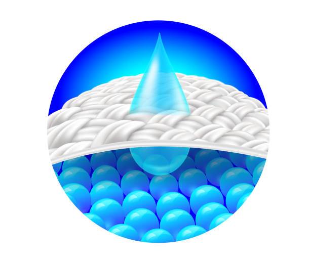Absorb